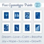 Cyanotype prints use sunlight and blue dye to create beautiful patterns and designs on paper. Get free Cyanotype Prints PDF today.